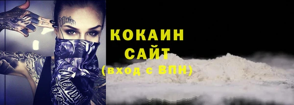 тгк Абаза