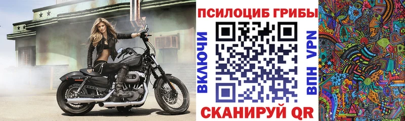 Псилоцибиновые грибы мицелий  Анадырь 